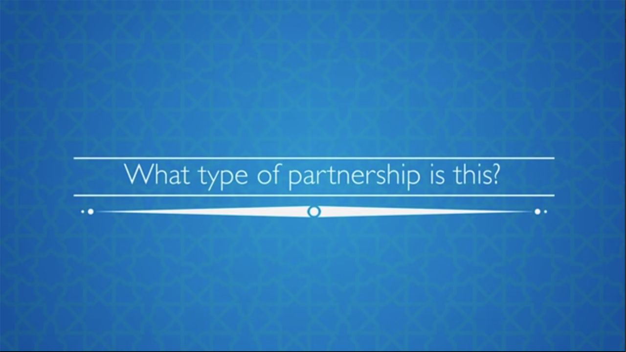 WHAT TYPE OF PARTNERSHIP IS THIS HOME FINANCING PROGRAM BASED ON?
